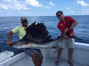 Click to enlarge image June 2016 - Sailfish - August 17, 2016 and June 2, 2016