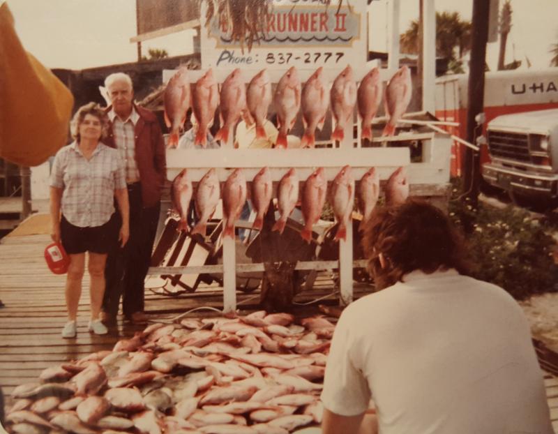 Click to enlarge image  - A days catch of snapper - 