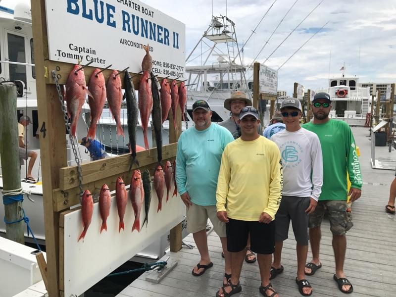Click to enlarge image  - More great catches from this month! - 