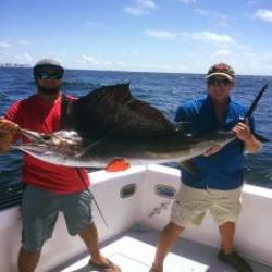 Sailfish