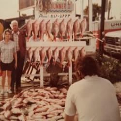 A days catch of snapper