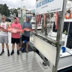 Daily Catches