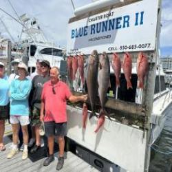 Daily Catches