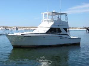  Blue Runner 2

42 Chris Craft

Twin Turbo diesel sportsfisherman

Clean, comfortable, air-conditioned

up to 6 passengers

4-14 hours trips to fit your needs

Overnight trips available

Located directly behind Fishermans Wharf on the Destin harbor.

Our bridge (top deck) is open unlike the majority of other charter boats in the area. It provides room for up to six people for a great area to spot dolphins, sea turtles, or just enjoy the scenery.