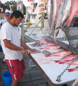 Click to enlarge image JOSH FILLETING THE CATCH - Josh - 