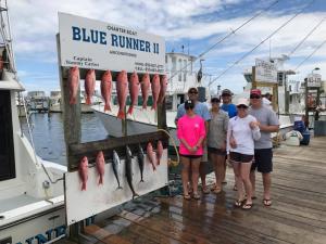 Click to enlarge image  - Snapper season - June 2017