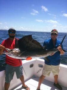 Click to enlarge image August 2016 - Sailfish - August 17, 2016 and June 2, 2016