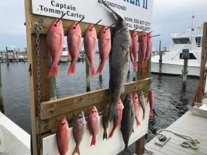 Click to enlarge image  - Another GREAT catch and look at that Grouper!! - June 2018