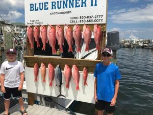 Click to enlarge image  - Daily Catches - 
