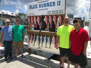 Click to enlarge image  - Daily Catches - 