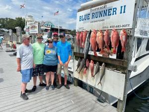 Click to enlarge image  - Daily Catches - 