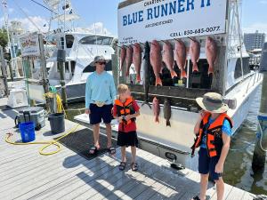 Click to enlarge image  - Daily Catches - 