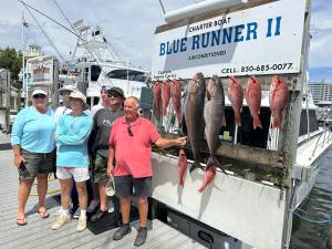 Click to enlarge image  - Daily Catches - 