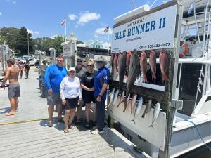 Click to enlarge image  - Daily Catches - 